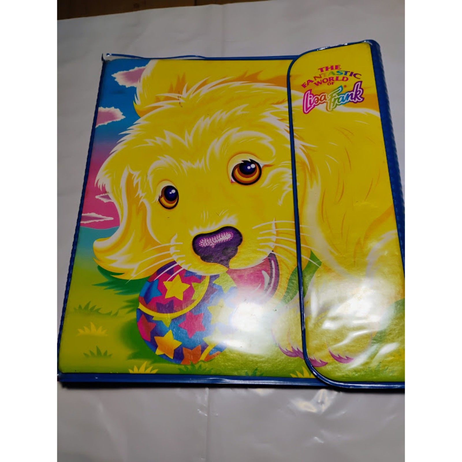 Vintage Lisa Frank Trapper Keeper binder listed for resale